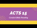 Reading the Book of Acts Chapter 15 NIV