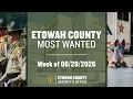 Etowah County Sheriff s Office - Most Wanted