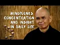 Mindfulness Concentration and Insight in Daily Life Thich Nhat Hanh short teaching