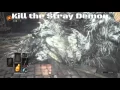 Dark Souls 3 How to get Havel s ring