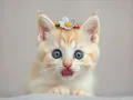 Download Lagu The Reason She Gets Away With Everything 😻💭 | Cute Talking Cat Short