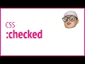 CSS pseudo-class - checked JSer