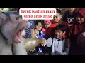 Lagu monyet beruk bastian dikerubungin anak kecil!!!