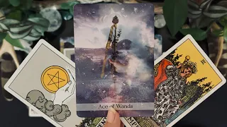 ARIES You re About To Enter A New Age Of Prosperity Aug 17-23 Tarot