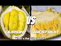 Durian vs Jackfruit What s the Difference
