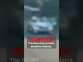 Moments after deadly hit-and-run caught on camera