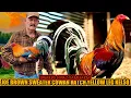Joe Brown Sweater Cowan Hatch Yellow Leg Kelso EDUARDO GOVAZ GAMEFARM