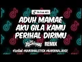Lagu TikTok Hit Song - ADUH MAMAE / AKU GILA KAMU / PERIHAL DIRIMU (Mushroom Remix)