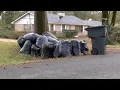 Mayor Arceneaux weighs in on delayed trash pickup