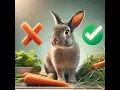 Can Rabbits Really Eat Carrots The Truth Behind the Myth