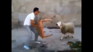 اضحك من قلبك وانسى الكل 