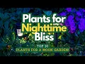 Lagu Top 10 Plants for a Magical Moon Garden