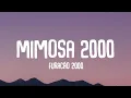 Furacão 2000 - Mimosa 2000