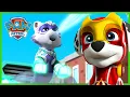 Mighty Pups Save A Frozen Adventure Bay and More - PAW Patrol