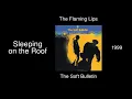 The Flaming Lips - Sleeping on the Roof - The Soft Bulletin [1999]