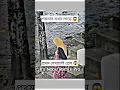 Download Lagu DJ S Govindo 🎧 2026 📼 Dj NoBu KiNG 🎶 DJ Antu 🎼 DJ Alamgir 🎶 Dj Manik🕺Dj Remix 🥁 DJ Ruhul🎚️New Dance