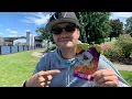 Flight Plan Strain Review Featuring Kai Cannabis in Michigan