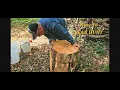 Learning to Bear Hunt in WI Part 1