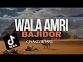 Download Lagu Eh Eh Wala Amri Koplo Bajidor