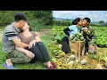 Download Lagu Green squash and lettuce are harvested for sale, Vietnamese farmer's life