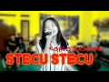Download Lagu STECU STECU LAGU VIRAL VERSI KOPLO BAJIDOR COVER AZALEA Ft MAJESTY