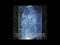 Cryptic Wintermoon | The Shadowkeep