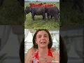 Download Lagu https://vt.tiktok.com/ZSktagDPY/Credits go to the respective owners #viral #visitsrilanka