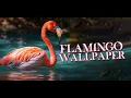 flamingo wallpaper