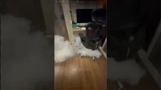 SUNOG SA BAHAY