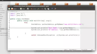 Java Programming Tutorial - How to get an IP address of any Website with Java Program