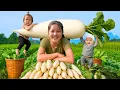 Download Lagu Harvest a Giant Field full of Big Radishes \u0026 Bring them to the Market to Sell, Cooking for my Family