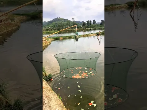 क्या लड़की तरबूज से मछलियां पकड़ पाएगी? 🥵🐟🍉 #fishing #fishingvideo #shortvideo #shortsfeed