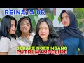 Download Lagu SEPESIAL BUAT EMPAT BIDUAN REINATA 05 LAGU SASAK 2025 PILIHAN TERFAVORIT