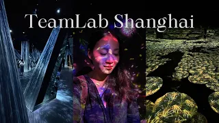 上海TeamLab无界｜《上海Fancie》第37集