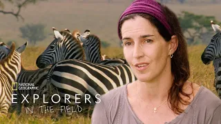 the story of gorongosa explorers in the field