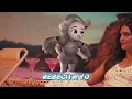 Anuel AA - Si Todos Los Hombres Son Iguales Porque Tu Estas Con El (Video Oficial) + Dolor Jesant OO