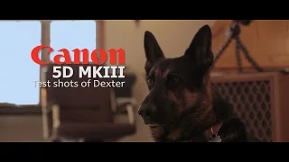 5D MKIII Test shots of Dexter