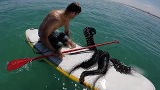 Il se Perd 3 Jours en Pleine Mer… Ce qu’il Rencontre est TERRIFIANT !