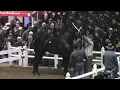 RECORD ALERT - 3 Percherons break the 200k mark Gordyville Mid America draft Horse Sale
