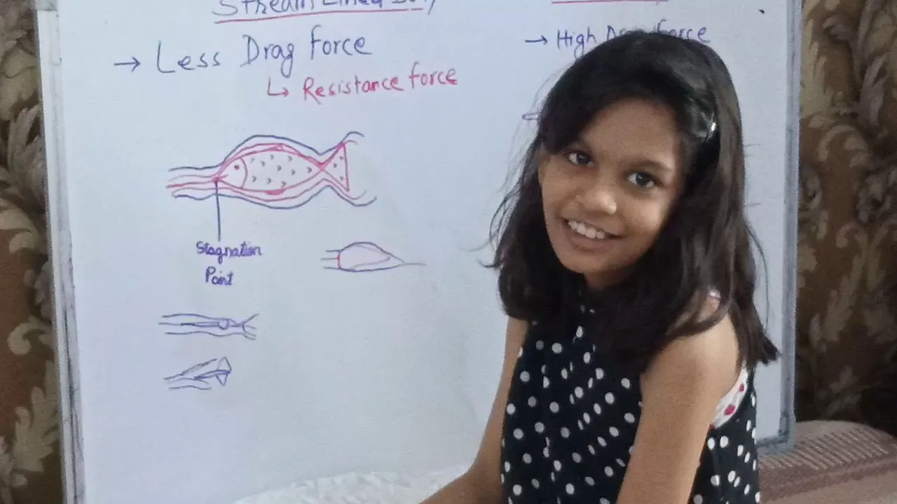 Streamlined Body for Grade 4 || Science ||