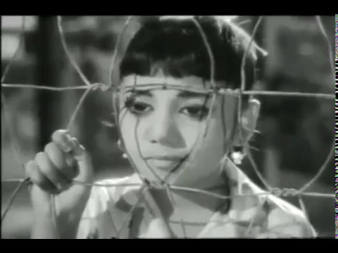 Kozhi Oru Koottile - YouTube