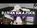 Download Lagu DJ IYAN SUKA TOCIL X MAKANYA GANTENG MASHUP MENGKANE IYAN SOPAN 2025