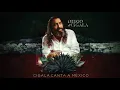 Diego El Cigala - Si Tú Me Dices Ven (Audio)