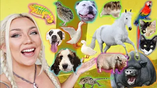 Feeding ALL My Pets in One Video!!