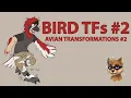 Bird Avian TFs Bird Avian Transformations