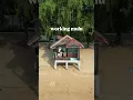 Download Lagu TIOMAN ISLAND ( Healing kita healing ) working mulu ! 😬🙄