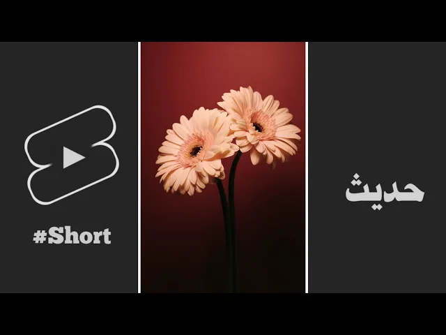 حديث | كالشاهر سيفه