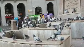 اغنية حمزه نمره وحشنا يارسول الله                                                     دندنها