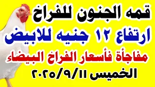 اسعار الفراخ اليوم سعر الفراخ البيضاء اليوم الخميس 11 9 2025 في مصر جمله وقطاعي 