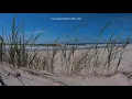 Caribbean Breeze - The Rippingtons